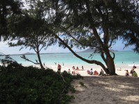 /album/fotobanka/a130616-1143z-jpg/