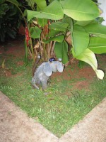 /album/fotobanka/a130617-1180z-jpg/