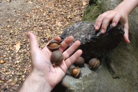 /album/fotobanka/a130617-3428z-jpg/