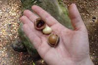 /album/fotobanka/a130617-3430z-jpg/