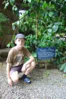 /album/fotobanka/a130617-3434z-jpg/