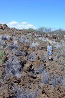 /album/foto-big-island/a130627-big3977z-jpg/