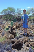 /album/foto-big-island/a130627-big3996z-jpg/