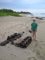 /album/foto-big-island/a130628-big1758z-jpg/