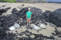 /album/foto-big-island/a130628-big4054z-jpg/