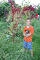 /album/foto-big-island/a130630-big4148z-jpg/