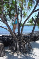 /album/foto-big-island/a130701-big4227z-jpg/