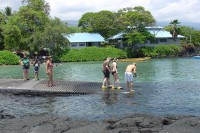 /album/foto-big-island/a130701-big4267bz-jpg/